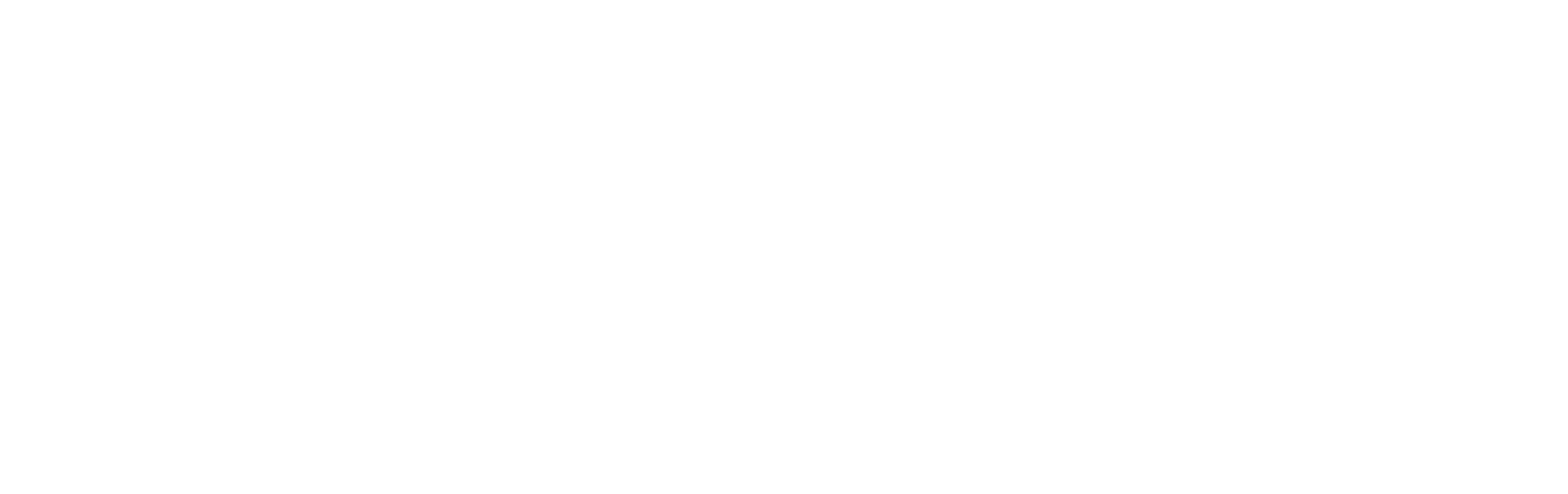 Chroniclers White Logo